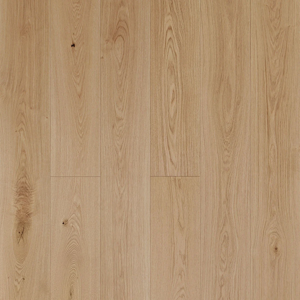 Dragonridge manufacturer view 1