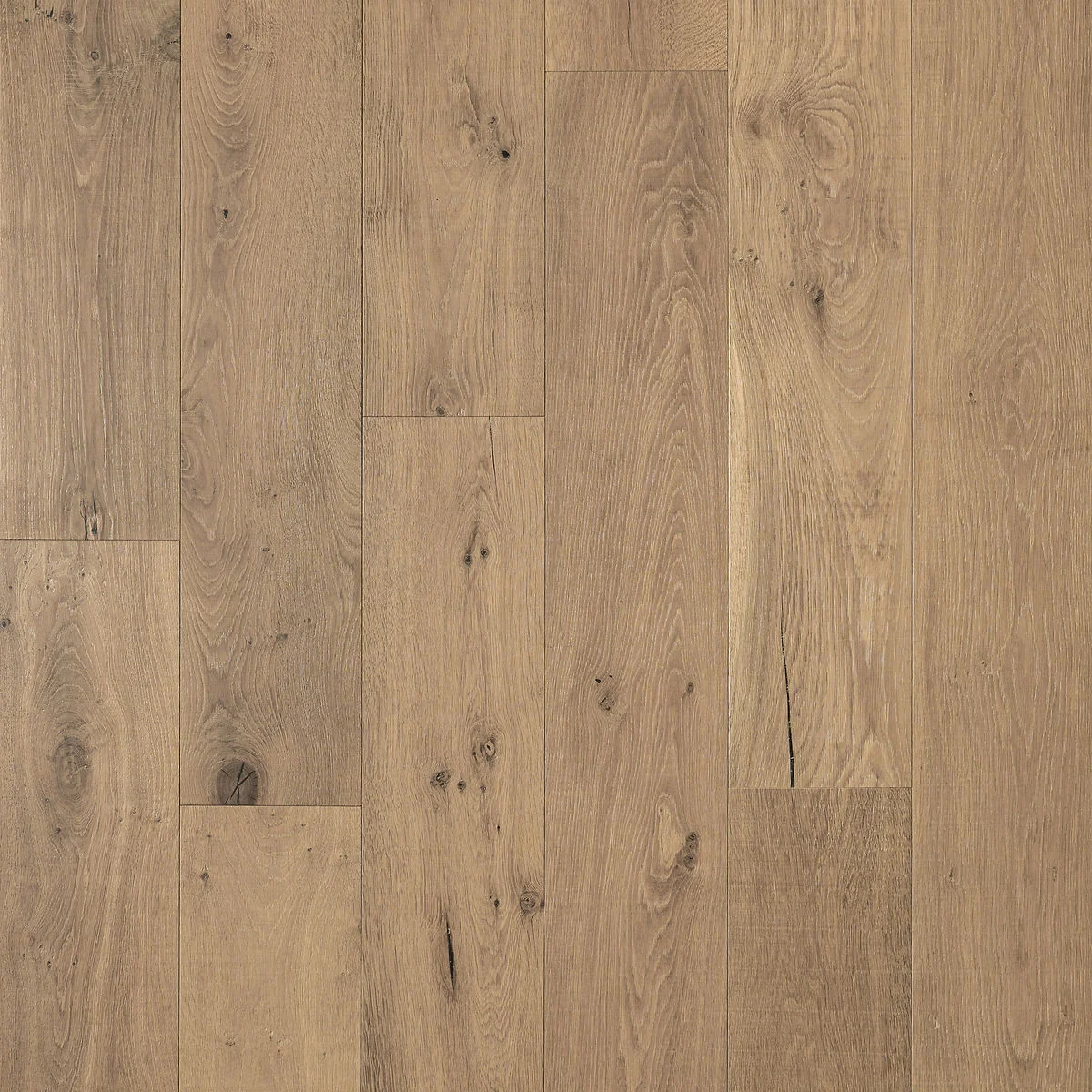 Luciano manufacturer view 1