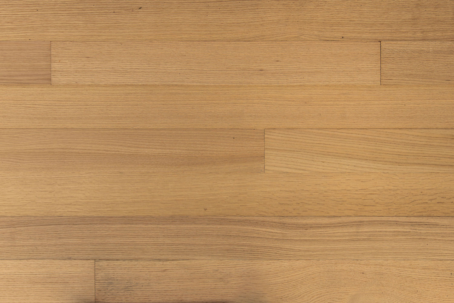 Graf Solid Red Oak